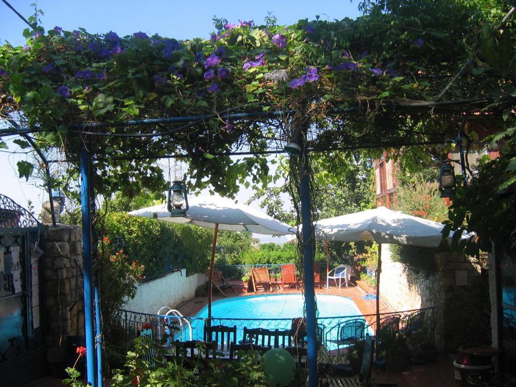 Villa Tehila - By V Club Chain Рош-Пинна Экстерьер фото